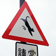 Image for article titled Watch Out for Cats!